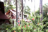 Coconut River 